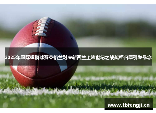2025年国际橄榄球赛英格兰对决新西兰上演世纪之战奖杯归属引发悬念